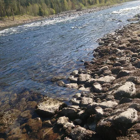 48m2 * Hølera