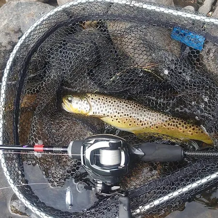 48m2 * Hølera